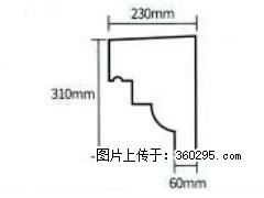 产品分解图型 - 檐口线，型号：SX311-YK-3，规格：230x310mm(3) - 营口三象EPS建材 yk.sx311.cc